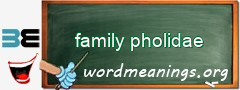 WordMeaning blackboard for family pholidae